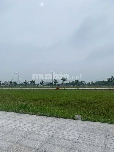 Bán Đât Biệt Thự Đường DT 818 - Ngay Coopmax Thủ Thừa Long An