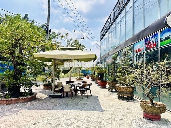 Đất nền dự án chợ Đức Hòa, Đường trục 824