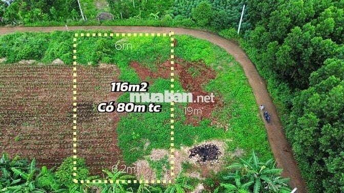 Đất 6x18m xã Kim Long, TP.HCM có 80m² thổ cư, sổ riêng, giá chỉ 580tr