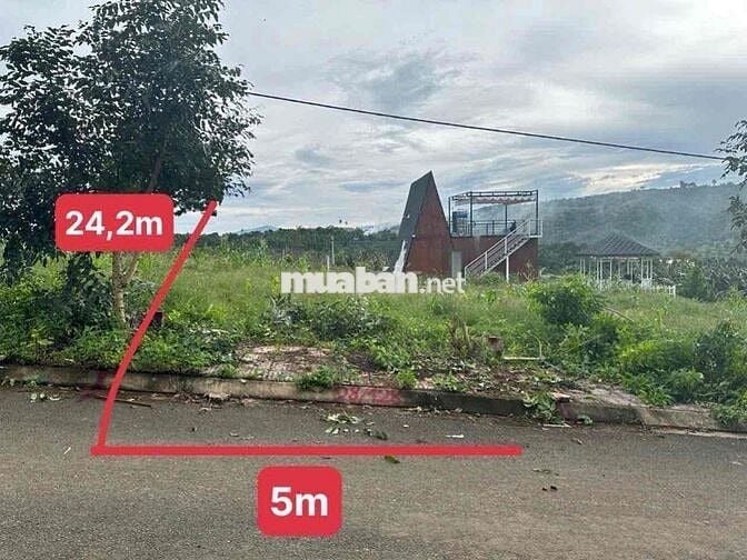 Bán 2 lô đất SHR view đẹp tại Tân Lạc, Bảo Lâm giá chỉ 301 triệu/lô