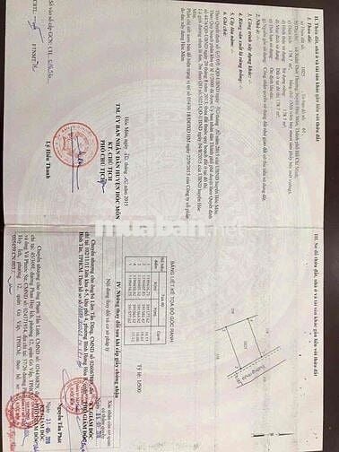 LÊN SÓNG LÔ ĐẤT 6,2 TỶ – XÃ BÀ ĐIỂM (ẤP 7 XTT CŨ) – TP HCM