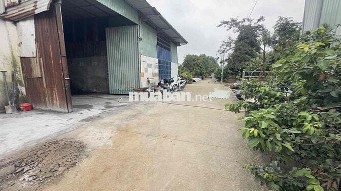 Cho Thuê Xưởng 300m/13tr Tân Hạnh Giáp Dĩ An