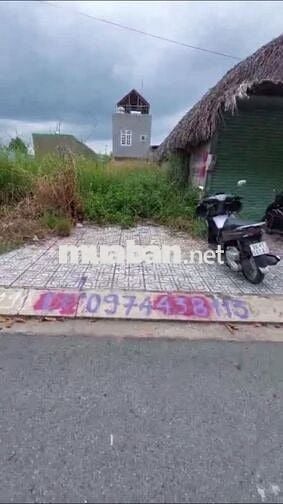 Bán đất chính chủ hạ tầng tuyệt đẹp tại phường Tam Phước, Biên Hòa