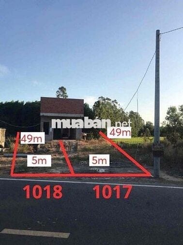 Ngân hàng thanh lý BĐS tại Láng Dài, Đất Đỏ, Bà Rịa - Vũng Tàu 533m2