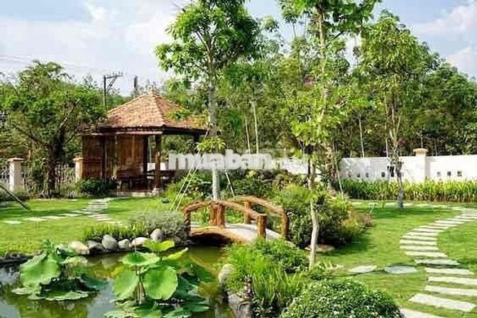 1 SÀO PHỦ HỒNG NGAY PHƯỜNG LONG KHÁNH CẦN BÁN GẤP