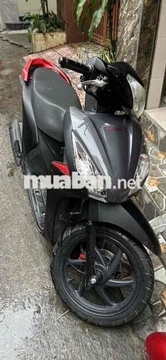 Vison đen biển Hà Nội 29D2