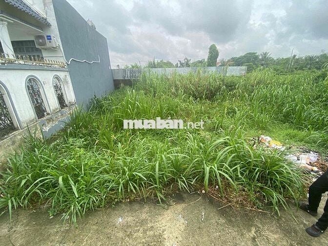 Chủ ngộp gửi bán lô đất 60m2 tại Bùi Thanh Khiết, Tân Túc, BC, SHR