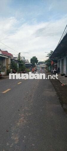 BÁN DÃY PHÒNG TRỌ+ 1 CĂN NHÀ CẤP 4