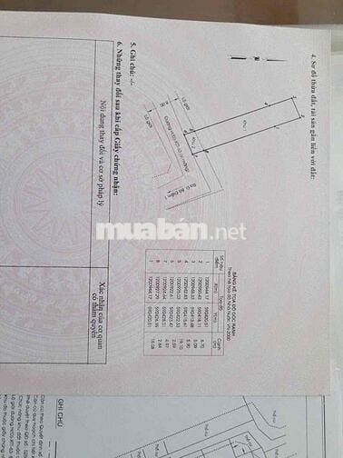 🎉 MỨC GIÁ TỪ 4 TỶ 200 CHO LÔ ĐẤT ẤP 3 – XÃ BÀ ĐIỂM – TP HCM