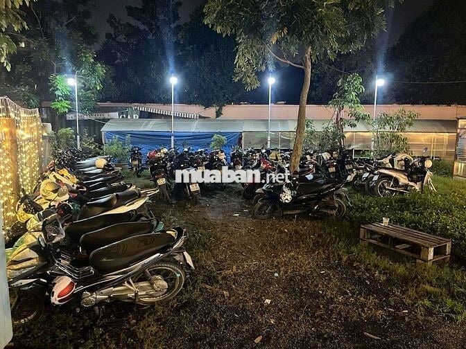 Cho thuê quán cafe sân vườn rộng 500m2, view sông Sài Gòn siêu đẹp