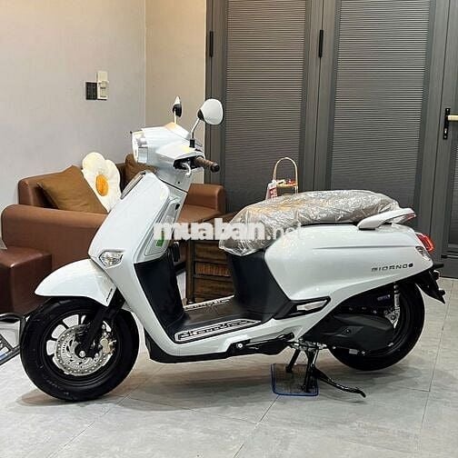 Honda Giorno 125 ABS Thailand 2025 Hải quan