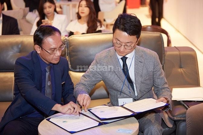 Thủ tục pháp lý sát nhập doanh nghiệp trọn gói