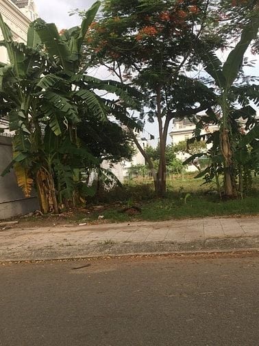 BÁN ĐẤT KHU DÂN CƯ 10 MẪU PHƯỜNG BÌNH TRƯNG ĐÔNG QUẬN 2