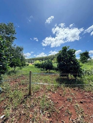 BÁN ĐẤT VƯỜN SẴN CÂY 1000m2 , ĐỒNG PHÚ, ĐỒNG NAI