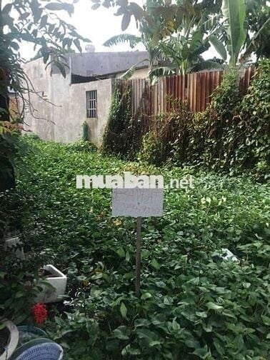 Đất xây nhà được 5*20 gần vòng xoay bến lội gần Lotte