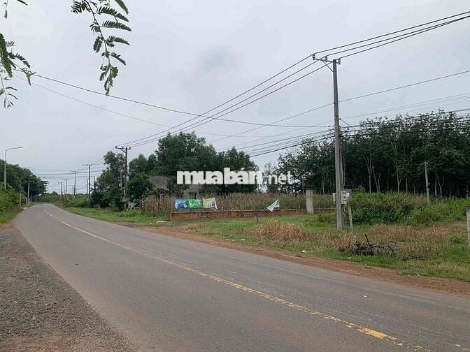 Áp lực lãi ngân hàng cần thanh lý gấp