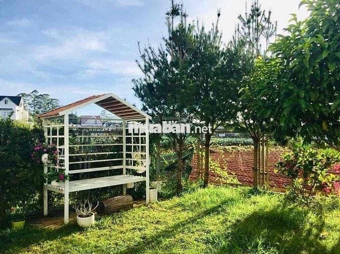 Bán lỗ nhà tâm huyết 235m2 có sân vườn, giá rẻ,