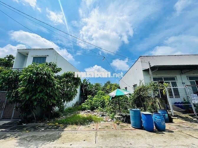 Con du học Úc bán đất 380m2/650 triệu đường số 19 Tân Thông Hội Củ Chi