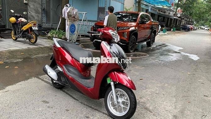 Lead mẫu mới 2025