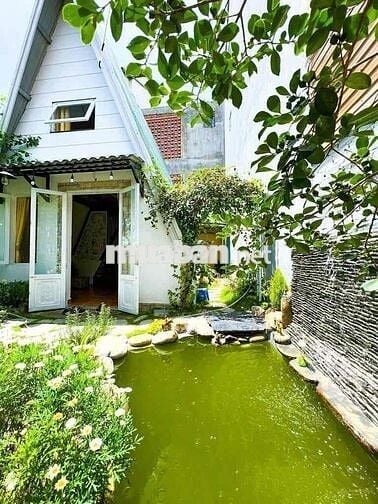 Giảm 50% giá bán gấp homestay view đẹp 200m2, giá tốt, TP Đà Lạt