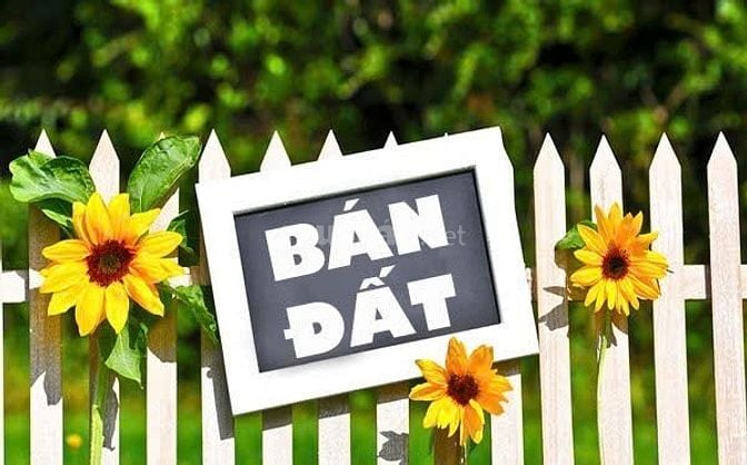 Bán đất khu dân cư Nam Sài Gòn, xã Bình Hưng, đối diện chợ Phú Lạc