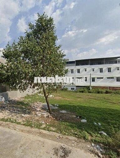 🔥 CẦN TIỀN XOAY VỐN – ĐẤT TRUNG TÂM BẾN CÁT – GIÁ CỰC RẺ 🔥