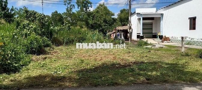Cần bán đất tại xã Thạnh Phú - Cà Mau