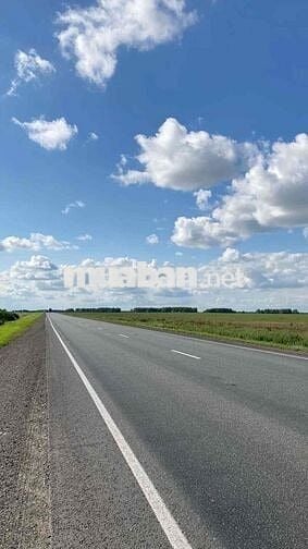 Đất thổ cư 125m² Cần Đước – Sổ riêng, ngay khu dân cư, giá tốt!