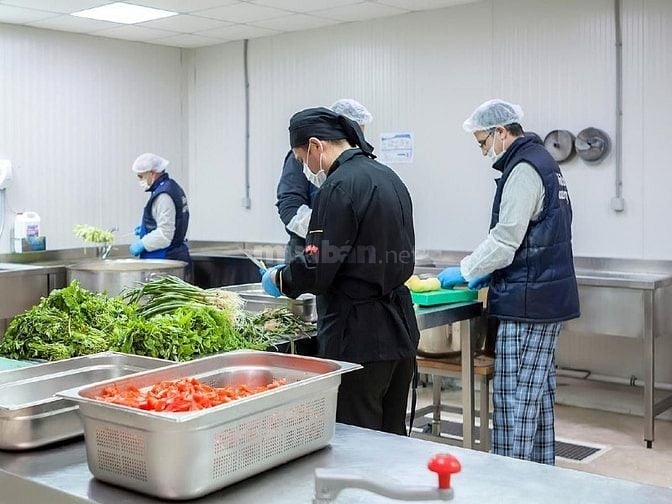 TUYỂN TẠP VỤ BẾP ĂN TRƯỜNG HỌC