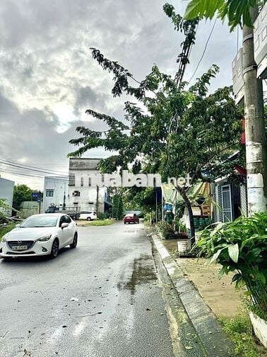 Hàng hiếm sát chung cư ecohome Hoà Hiệp