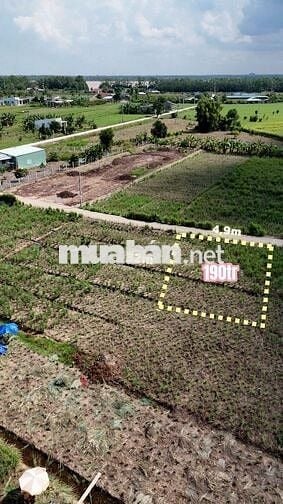 🌟• DT : 150m². Giá :190 triệu tại cù lao Tân Phú Đông, Tiền Giang