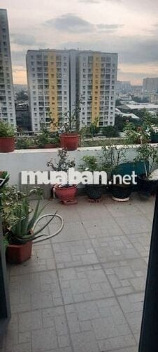 Cần bán căn hộ Penhouse Mỹ Thuận 236/24 An Dương Vương