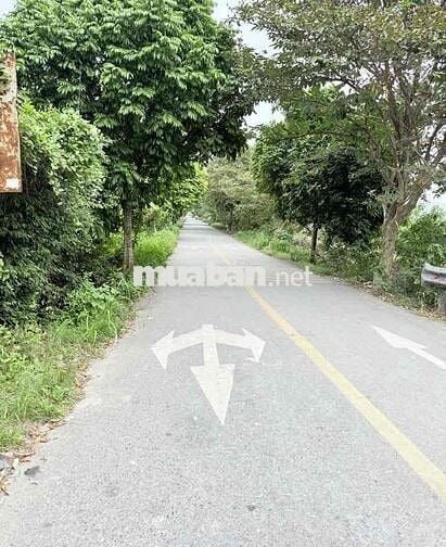 🔥 BÁN ĐẤT ĐẸP – TRUNG TÂM ĐÔNG DƯ, GẦN BÁT TRÀNG – GIA LÂM 🔥