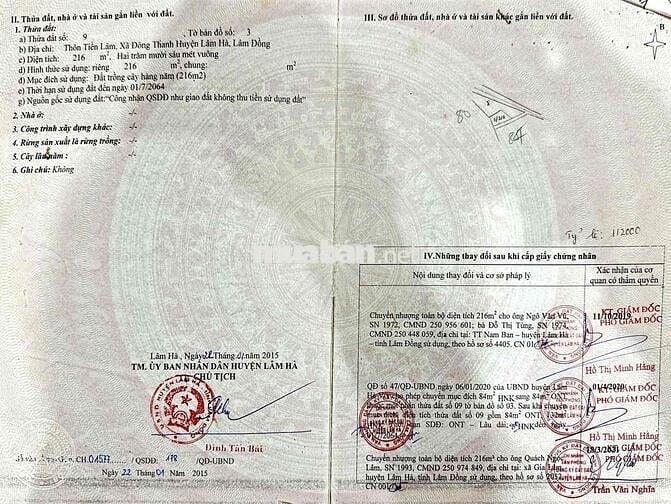 SIÊU HOT – CẦN SANG NHƯỢNG GẤP LÔ ĐẤT MẶT TIỀN NHỰA CHÍNH ĐÔNG THANH 6