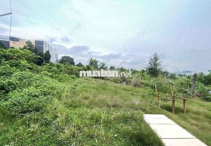 Đất ODT 205m Ngay Thị Trấn Củ Chi Giá 1Tỷ3 Bán Trước Tết, Thương Lượng