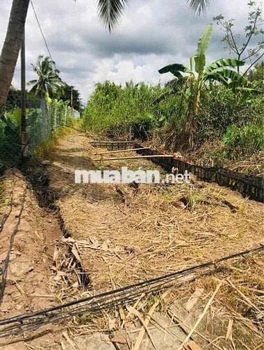 bán đất thổ cư gần chợ mỹ khánh phường an bình