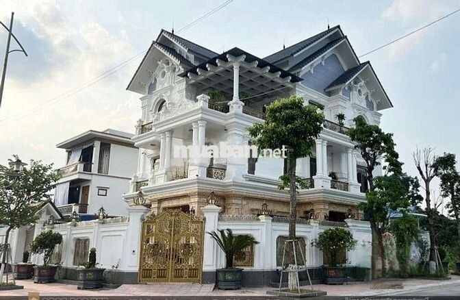 Cho thuê biệt thự CAO CẤP khu tên lửa gần siêu thị eon bình tân