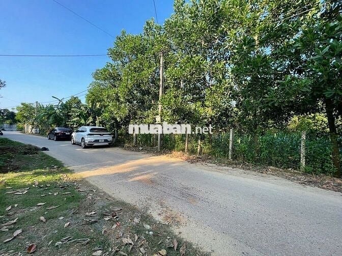 Đất hiếm Ngọc Thanh, Phúc Yên, Vĩnh Phúc 1280m chỉ 3.3 tỷ