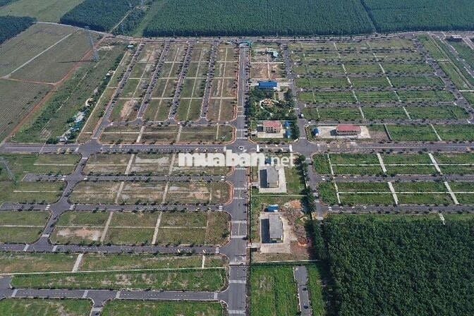 ĐẤT ĐỨC PHÁT 90M2- LAI UYÊN, BÀU BÀNG- GẦN TTHC BÀU BÀNG- ĐƯỜNG 7M-SHR