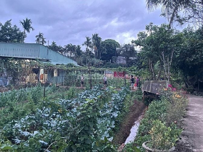 THÔNG BÁO ĐẤU GIÁ TÀI SẢN THEO THỦ TỤC RÚT GỌN