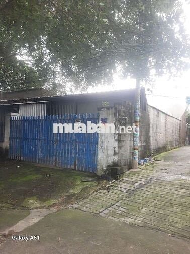 NHÀ CẤP 4 171m2 ĐUONG XE TẢI 6M SÁT MẶT TIỀN CÂY DA TIỆN XÂY BIỆT THỰ