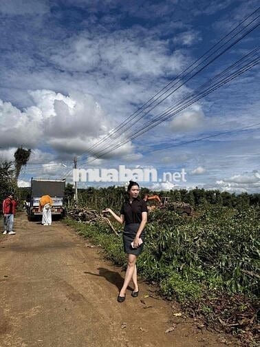 🌿 BÁN ĐẤT SIÊU RẺ ĐINH VĂN, LÂM HÀ – GIÁ CHỈ 435 TRIỆU/LÔ 🌿