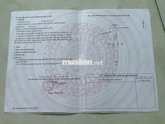 250Triệu/Lô -Xã Lộc Ninh - Bình Phước