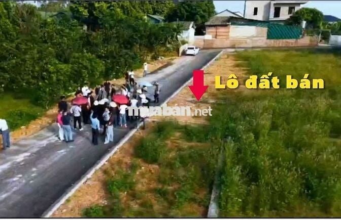 Còn 2 Lô cuối chính chủ đất Thôn Cõi , Tam Dương - Phú Thọ