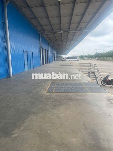 Cho thuê kho 10.000m2 - 20.000m2 KCN Củ Chi, PCCC tự động , đường cont