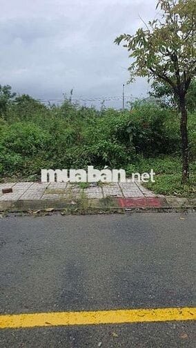 Hướng Đông Bắc , Mát Mẻ Cả Ngày