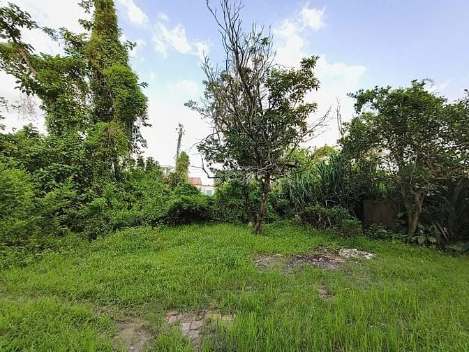 Đất thổ cư Tu Lễ, Kim Đường, 190m2, MT7.5m, nở hậu, 2 thoáng, 1.52 tỷ 