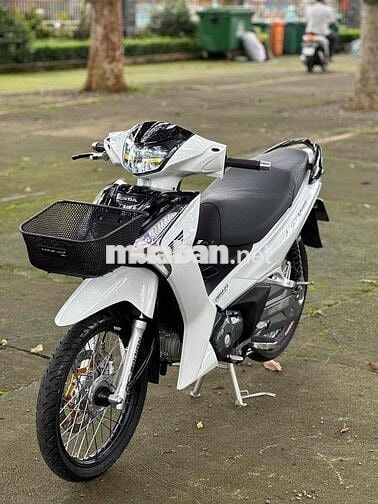 Fu Led 2022 kiểng có góp