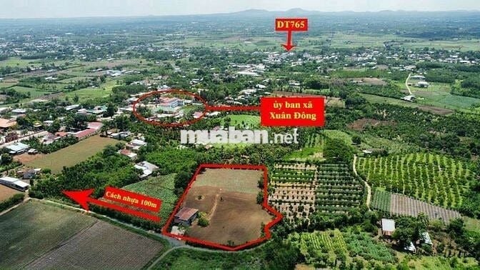 7500m2 đất Xuân Đông, Cẩm Mỹ , full hồng chỉ 700tr/sào