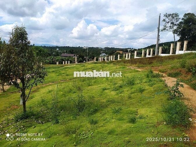 Lô đất 9C-7 – 188,8m², vị trí đẹp, giá tốt cho nhà đầu tư!